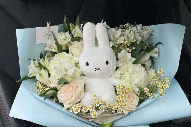 Описание изображения