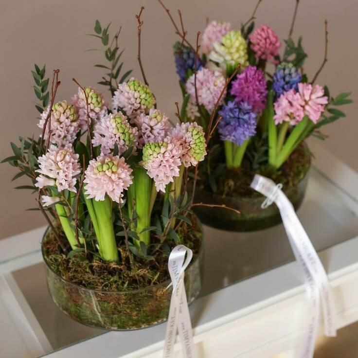 Подбор и посадка растений&nbsp;