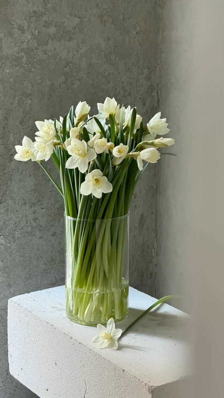 Фитодизайн интерьера